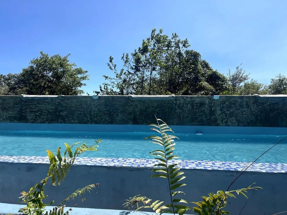 Guest Room 4 At Dani'S With Pool Las Galeras 0*,  Dominican Republic