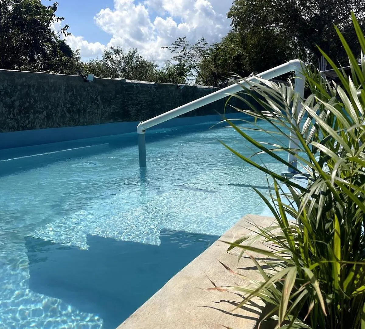 Guest Room 4 At Dani'S With Pool Las Galeras Apartment